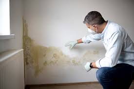 Best HVAC Mold Inspection and Cleaning  in Oregon, OH